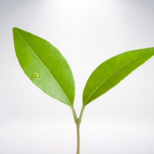 ホームページをリニューアルしました